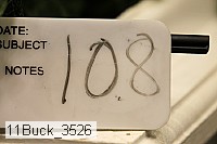 11buck_3526 proof