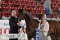 11buck_3528 proof
