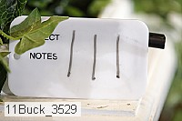 11buck_3529 proof