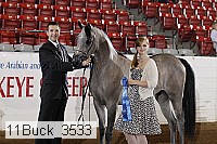 11buck_3533 proof