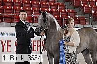 11buck_3534 proof