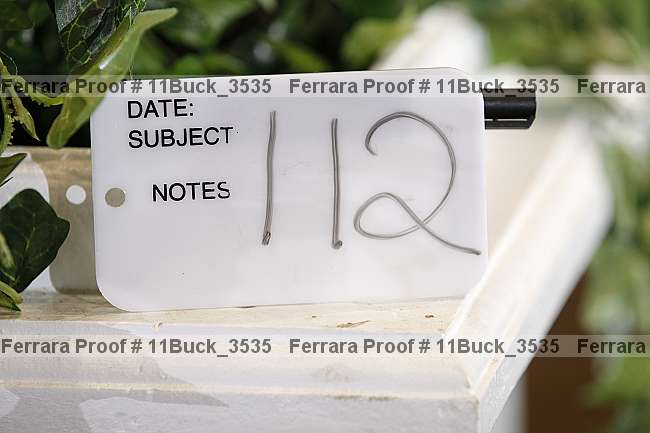 Proof 11buck_3535