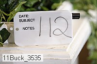 11buck_3535 proof