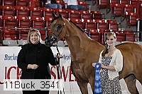 11buck_3541 proof
