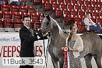 11buck_3543 proof