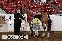 11buck_3545 proof
