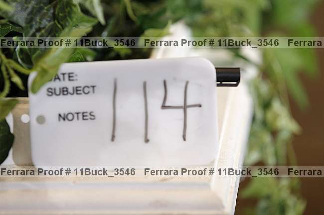 Proof 11buck_3546