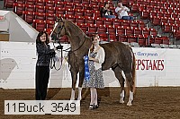 11buck_3549 proof
