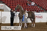 11buck_3551 proof