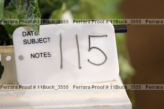 Proof 11buck_3555