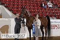 11buck_3557 proof