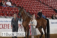 11buck_3560 proof