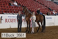 11buck_3561 proof