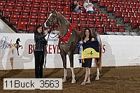 11buck_3563 proof