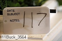 11buck_3564 proof