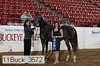 11buck_3572 proof