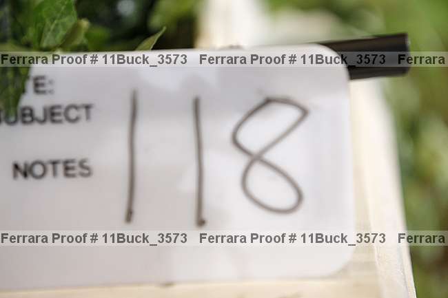 Proof 11buck_3573