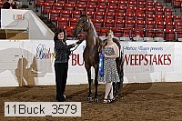 11buck_3579 proof