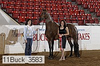11buck_3583 proof