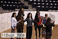 11buck_3584 proof