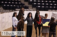 11buck_3586 proof