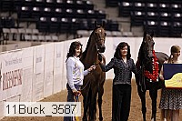 11buck_3587 proof