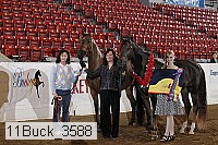 11buck_3588 proof