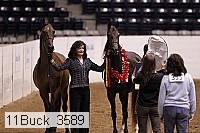 11buck_3589 proof