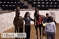 11buck_3590 proof