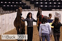 11buck_3591 proof