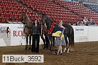 11buck_3592 proof