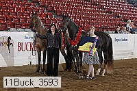 11buck_3593 proof