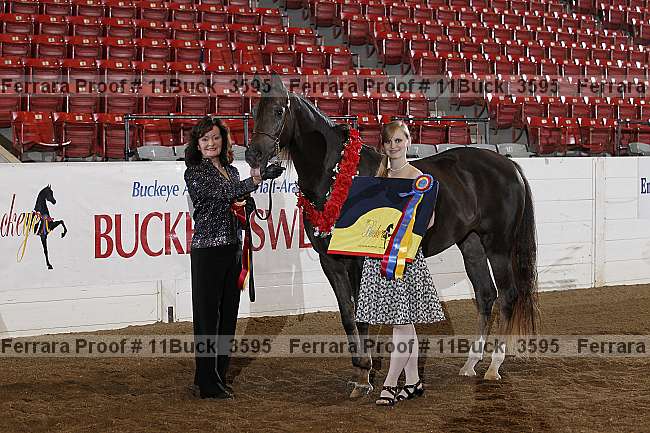 Proof 11buck_3595