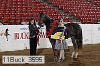11buck_3595 proof