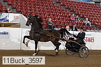 11buck_3597 proof