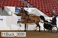 11buck_3599 proof