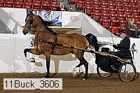 11buck_3606 proof