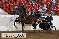 11buck_3607 proof