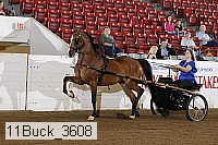 11buck_3608 proof
