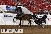 11buck_3614 proof