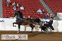 11buck_3615 proof