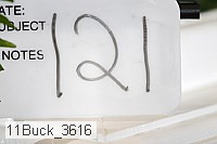 11buck_3616 proof
