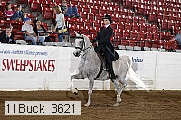 11buck_3621 proof