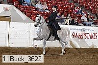 11buck_3622 proof