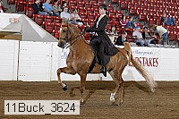 11buck_3624 proof