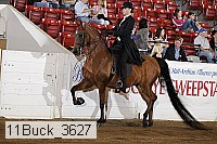 11buck_3627 proof
