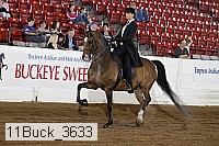 11buck_3633 proof