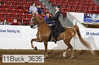 11buck_3635 proof