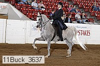 11buck_3637 proof