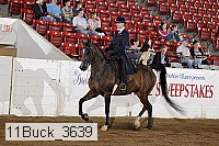 11buck_3639 proof